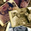 emaan4643