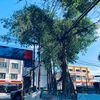tempat story onyot palembang