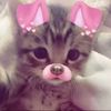 .its_halinaz