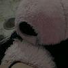 user1245182758681