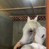.almutairi89