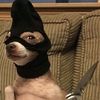 eliasmcpickle