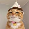DerpMenagerie