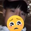 van.h.a
