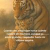 davidreyna688