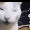 imsofuckingpretty8