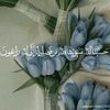 shahad56494
