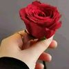 sabihaislam5578