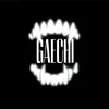 gaechi1