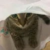 freya.deuel