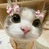 annnie207