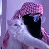 salma.sahill1
