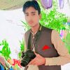 ali.hamza.rajpoot039
