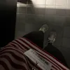 adrii_altt318