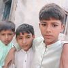 fazanjutt447