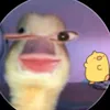 minhhaidz0