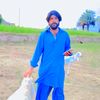 asif.cheka
