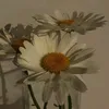 1samira63