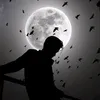 user887610191817