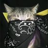 christopher.ratte