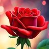 user7580061791570