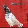 user400151075