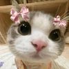 aina.nur.aliqa.bi