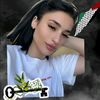 monjed.sahmoud