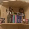 book35841