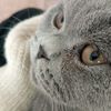 aylis_077