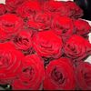 retajahmad428