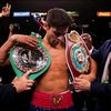 fansboxing_12