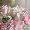 tlinhphan12
