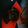 dalia.mohammed556