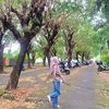 riyanti_qq