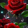 user7365161015981