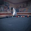 adam22621