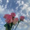shahadalshamry0