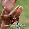 user7215055056651