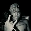 8l.ash