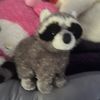 marz_2278