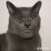 phamthanhnhatkj