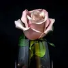 lilia.malki5