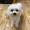 whoiselena_123