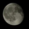 fj_lm_