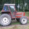 siegfried069