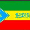 ibsaa.ibro
