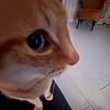 lunita_brillante55