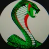 snake_delta