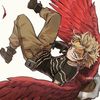 hawks4311